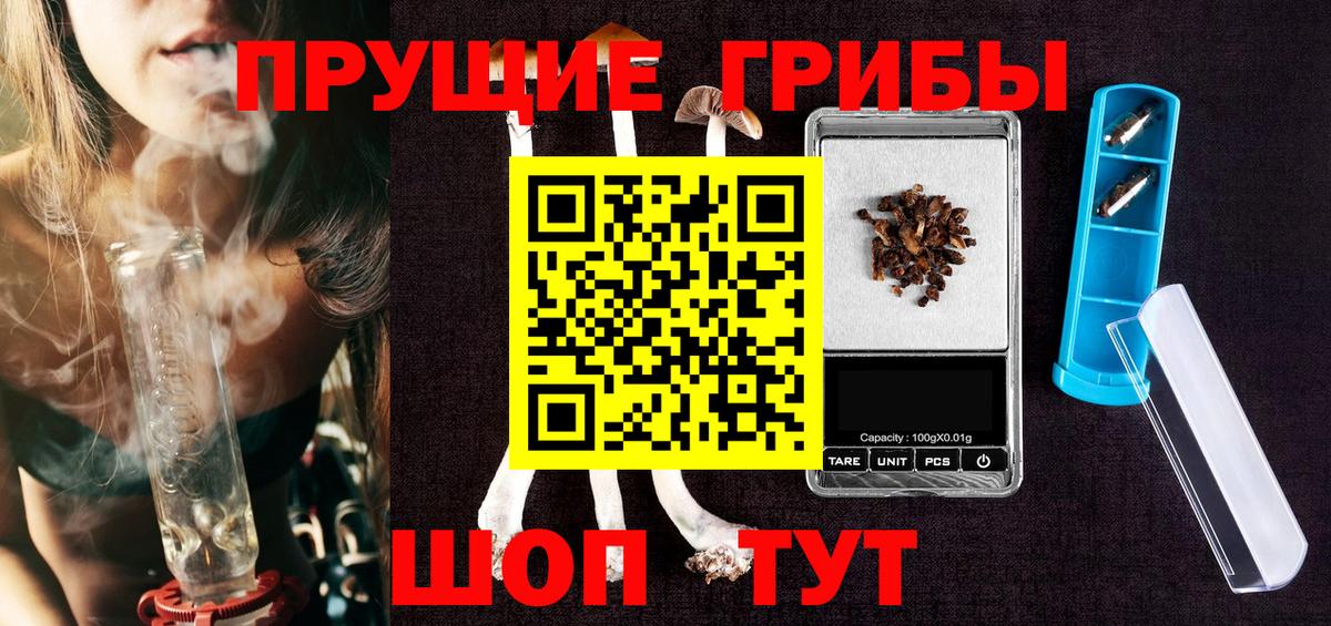 Киселёвск  Галлюциногенные грибы мицелий  Псилоцибиновые грибы ЛСД  Вход с VPN 