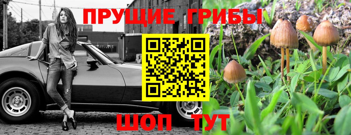 Псилоцибиновые грибы мухоморы Киселёвск
